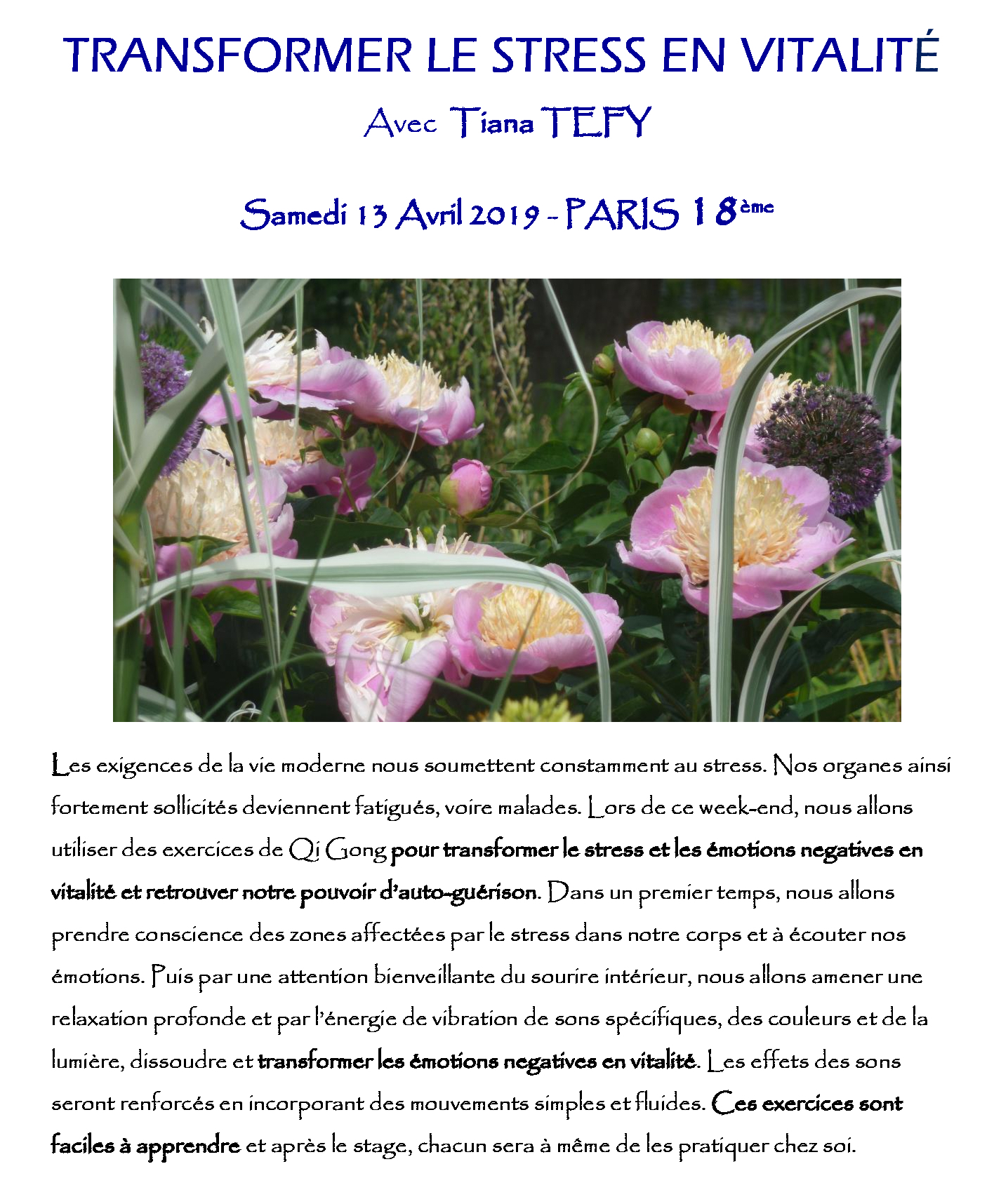 stressvit paris page1