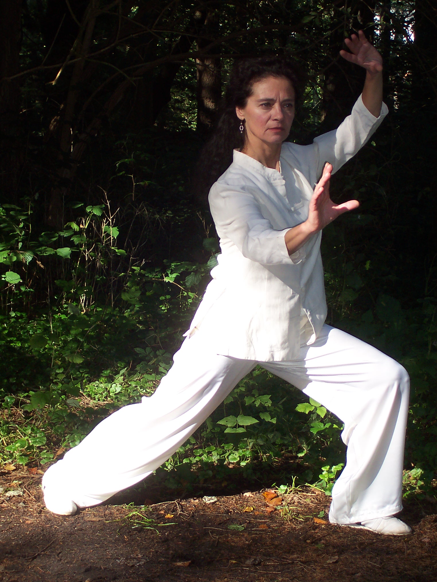 jocelyne tai chi